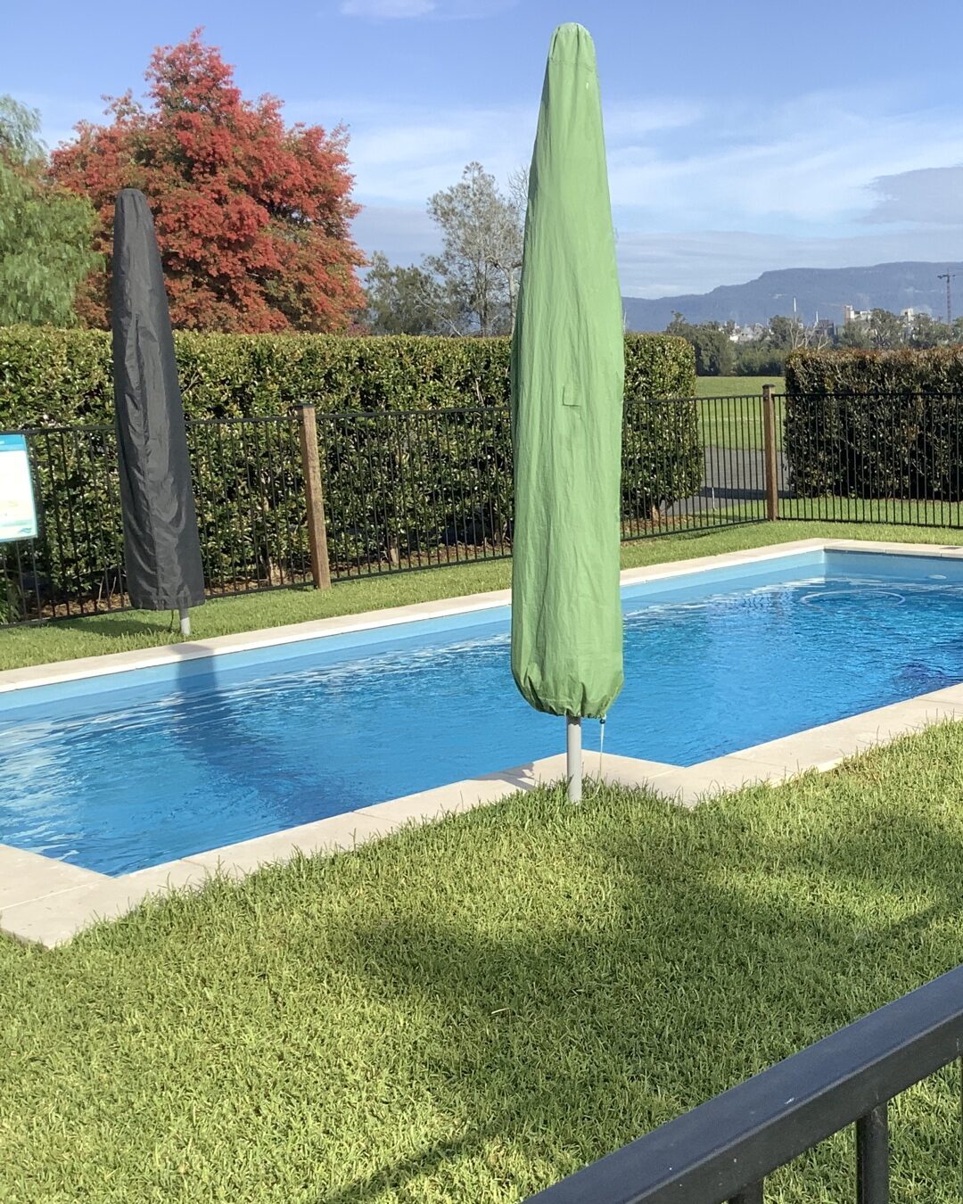 grass pool
