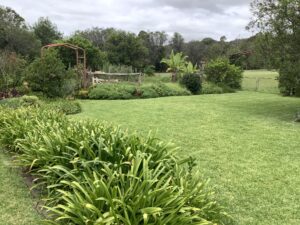 nice garden