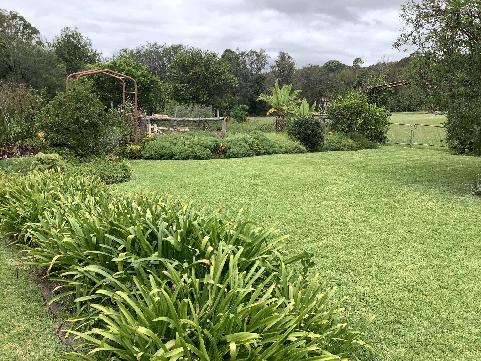 Established residential garden renovated by Ground Control in the Shoalhaven