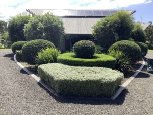 hedge well trimmed
