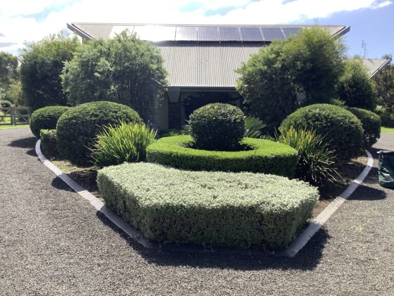 hedge well trimmed
