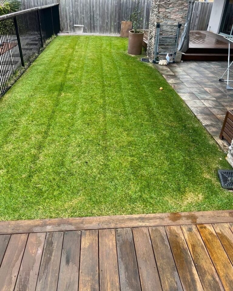 A freshly mown, striped lawn beside a timber deck