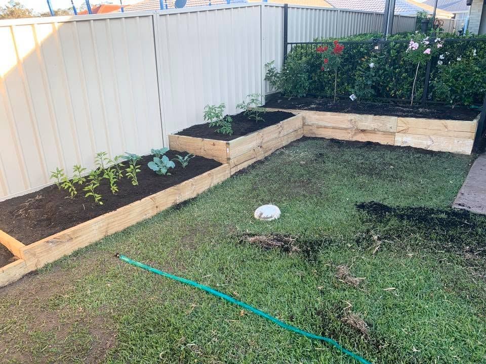 Tiered raised garden beds with young plants beside a fence.