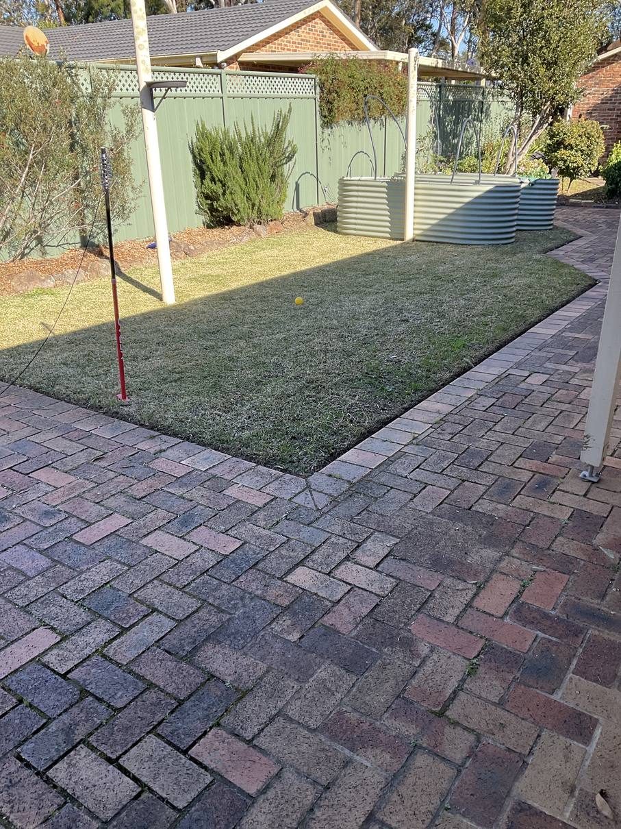 A tidy backyard with a rectangle of new green turf beside two raised garden beds