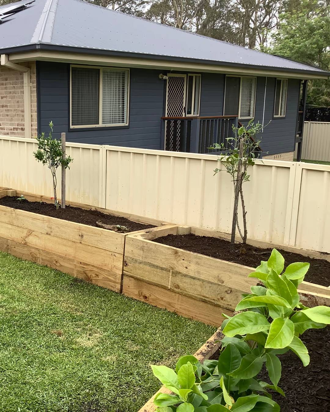 Long raised garden beds made from timber sleepers, filled with dark soil and young trees beside a new lawn