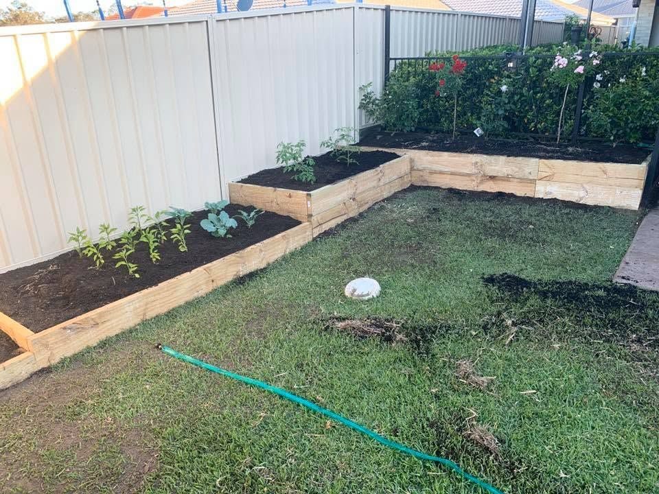 Tiered raised garden beds built from timber sleepers in a backyard corner, with young plants